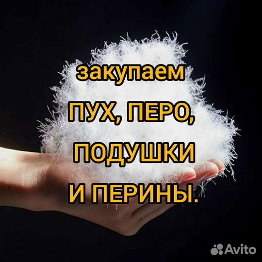 Принимаю пух / перо,подушки,перины старые и новые