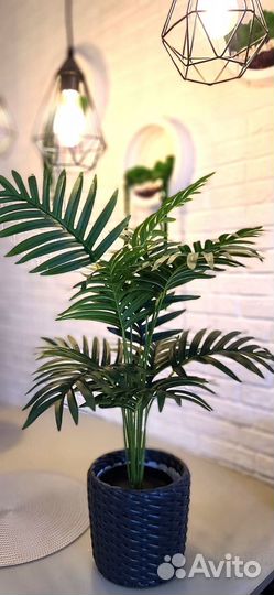 Искусственная Пальма