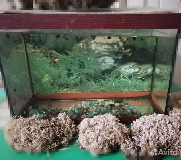 Аквариум 15 литров