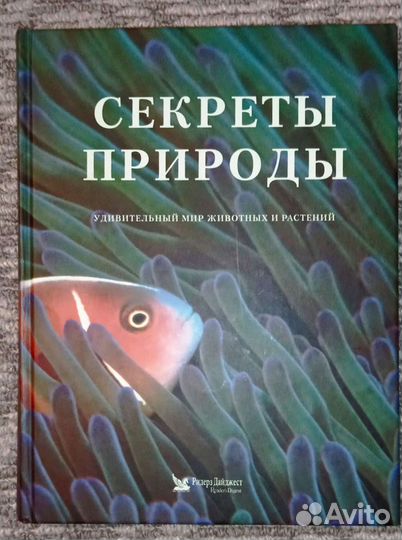 Энциклопедия 