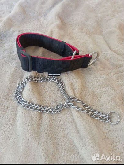 Амуниция для собак