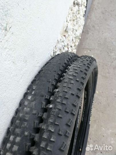 Пухлые покрышки schwalbe