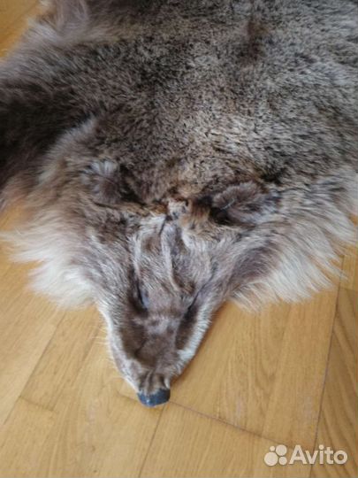 Шкура медведя имитация ковер