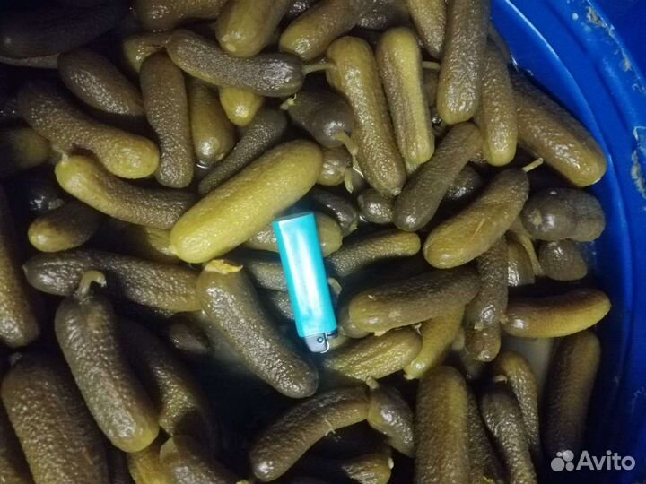 Огурцы соленые