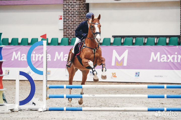 Занятия по верховой езде