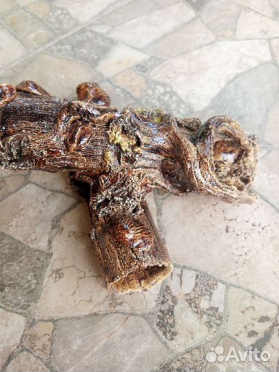 Декор для аквариума/флорариума Коряга