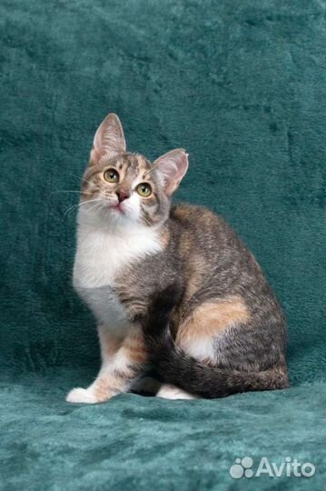 Весна, такая Весна