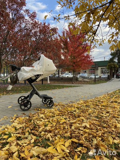 Коляска stokke xplory v5 3в1