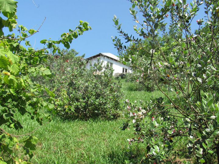 Участок 8,4 сот. (ИЖС)