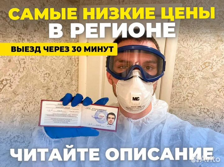 Травля тараканов. Уничтожение клопов. Дезинфекция