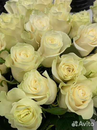 Белые розы. Букет из белых роз.Доставка цветов