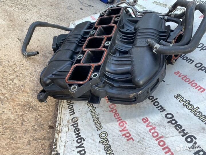 Коллектор впускной Infiniti Ex35 J50 VQ35HR 2009