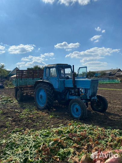 Трактор МТЗ (Беларус) 80, 1981