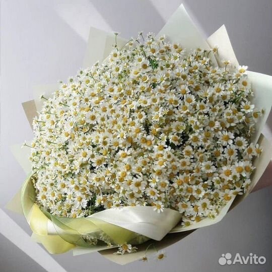 Букеты из ромашек