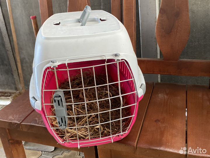 Переноска для животных пластиковая