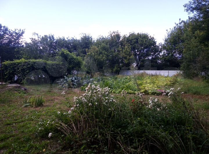 Дом 75 м² на участке 20 сот.