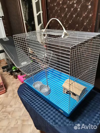 Аксессуары для птиц/ грызунов