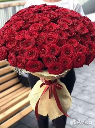 51 Роза, Букеты Цветы Розы 25 101 501 1001