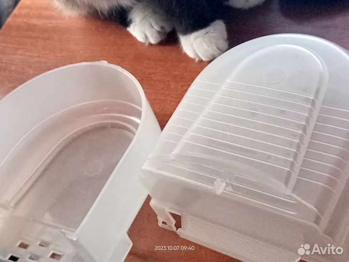 Бассейн для птиц