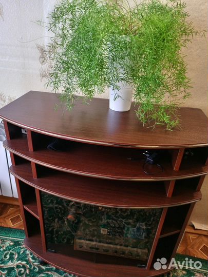 Тумба под телевизор напольная бу