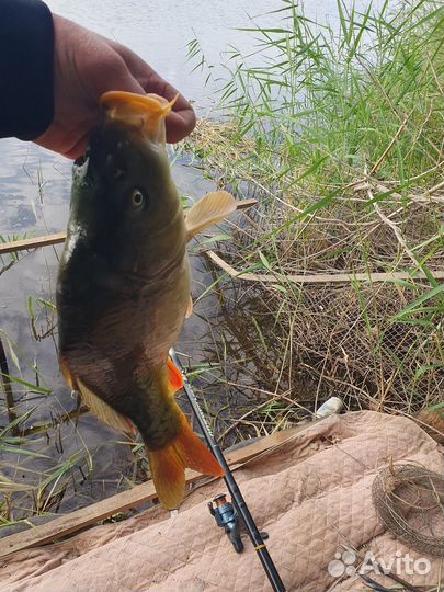 Отдых и рыбалка