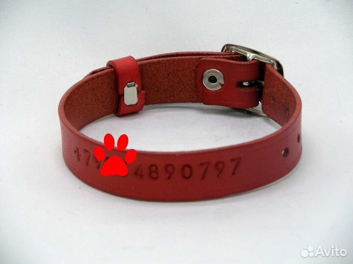 Ошейник - адресник для собаки/кошки