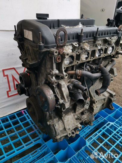 Двигатель Ford Focus ZX5 USA 2.0 duratec 2005