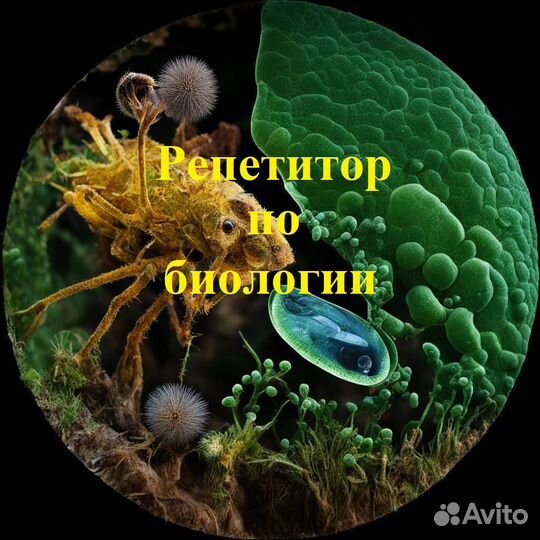 Репетитор по биологии, подготовка к ЕГЭ и ОГЭ
