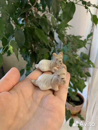 Фарфоровые статуэтки СССР лфз Шотландка