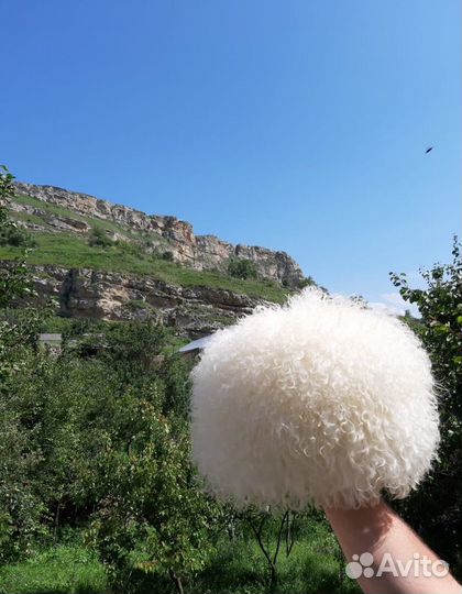 Папаха кавказская