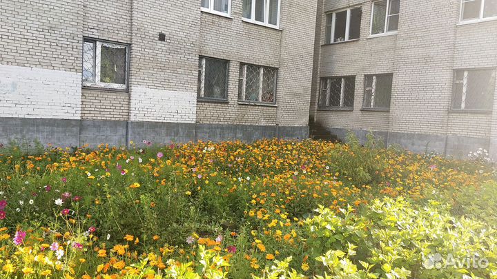 Семена цветов