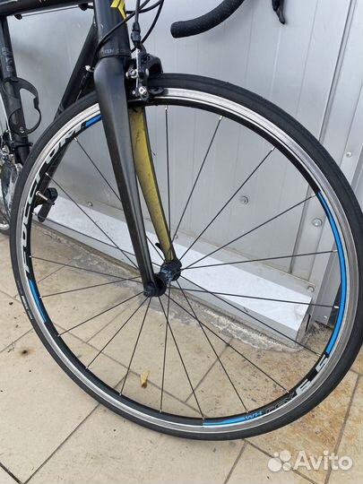 Шоссейник Radon R1