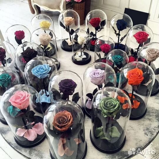 Роза в колбе