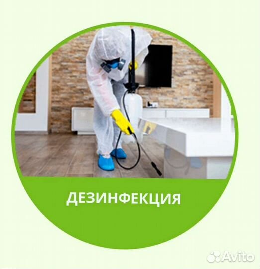 Уничтожение тараканов, клопов, крыс, клещей