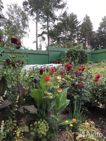 Продажа цветов