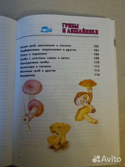 Атлас-определитель для учащихся начальных классов