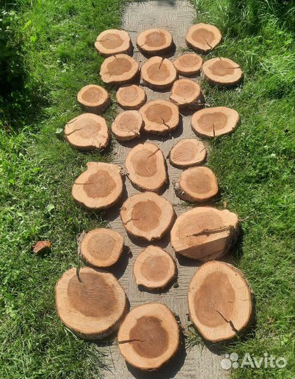 Спилы яблони