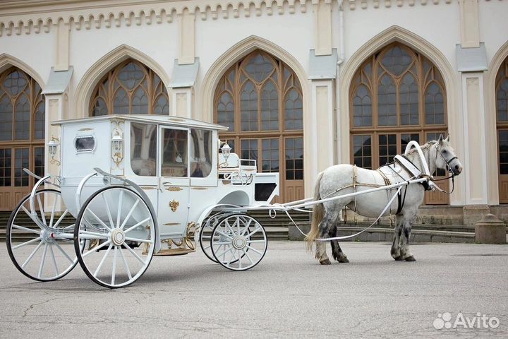 Карета для лошади