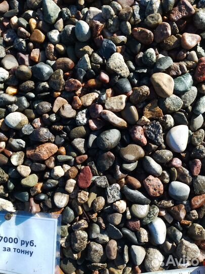 Галька Ладожская