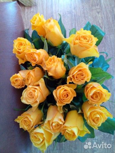 Кусты роз оптом