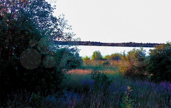 Участок 100 сот. (ИЖС)