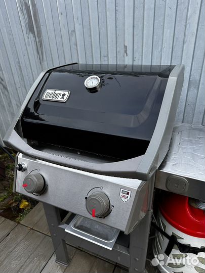 Флаворайзер