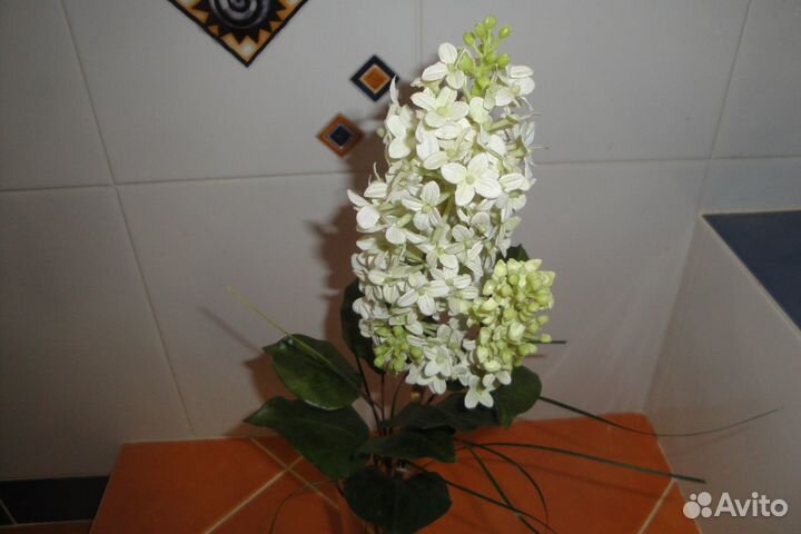 Декоративные цветы