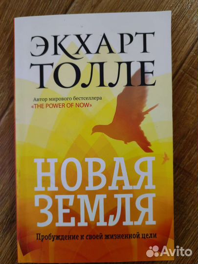 Книга Экхарт Толле Новая земля