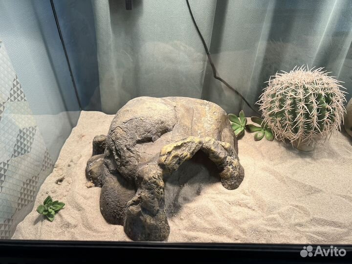 Террариум exo terra hagen 90x45x45