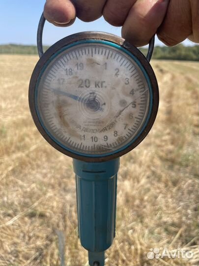 Сено солома в тюках