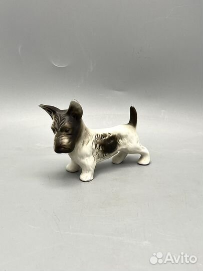 Статуэтка Собака Чехия Royal Dux