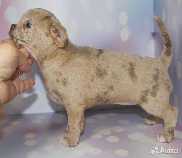 Необычная девочка