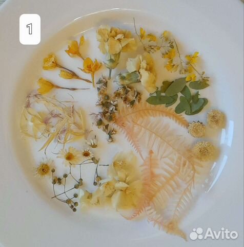 Сухоцветы. Набор для творчества