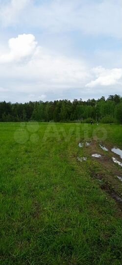 Участок 5,32 га (СНТ, ДНП)